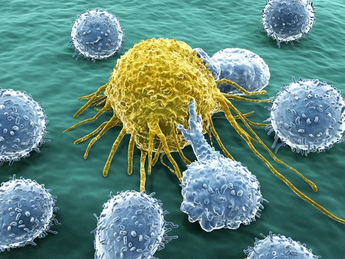 سرطان گونه ارتباط با سایر بیماری ها و عوارض جانبی