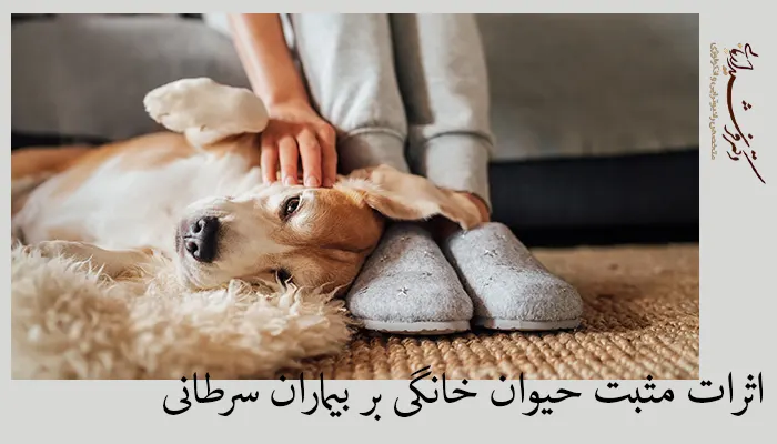 اثرات مثبت حیوان خانگی بر بیماران سرطانی