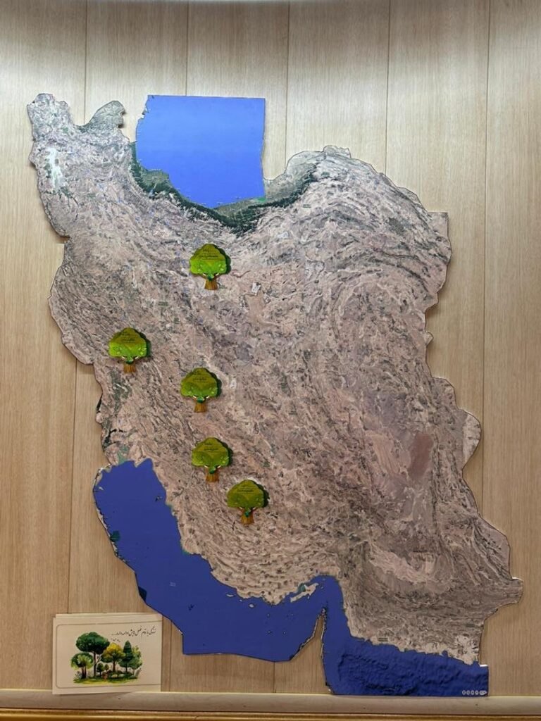 نقشهٔ ایران روی دیوار مطب، با درختهای کوچک روی محل هر نهال