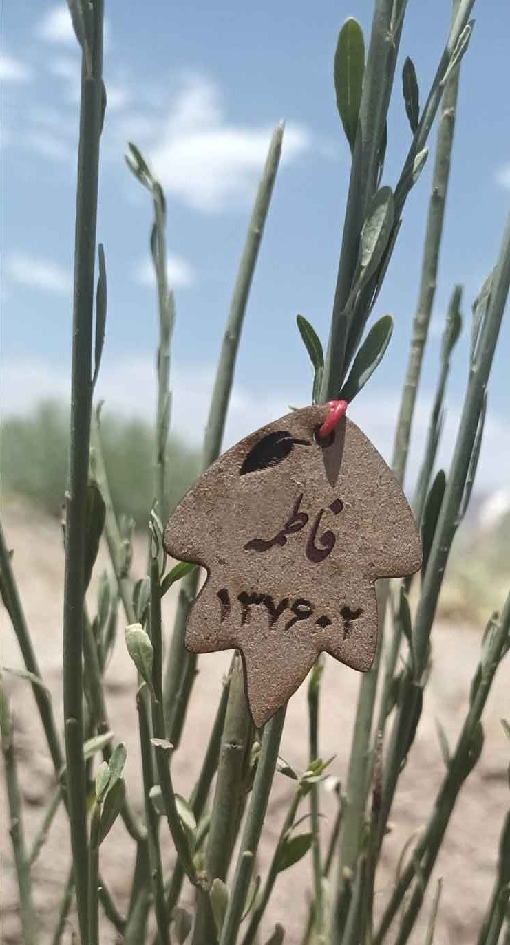 پلاک فاطمه