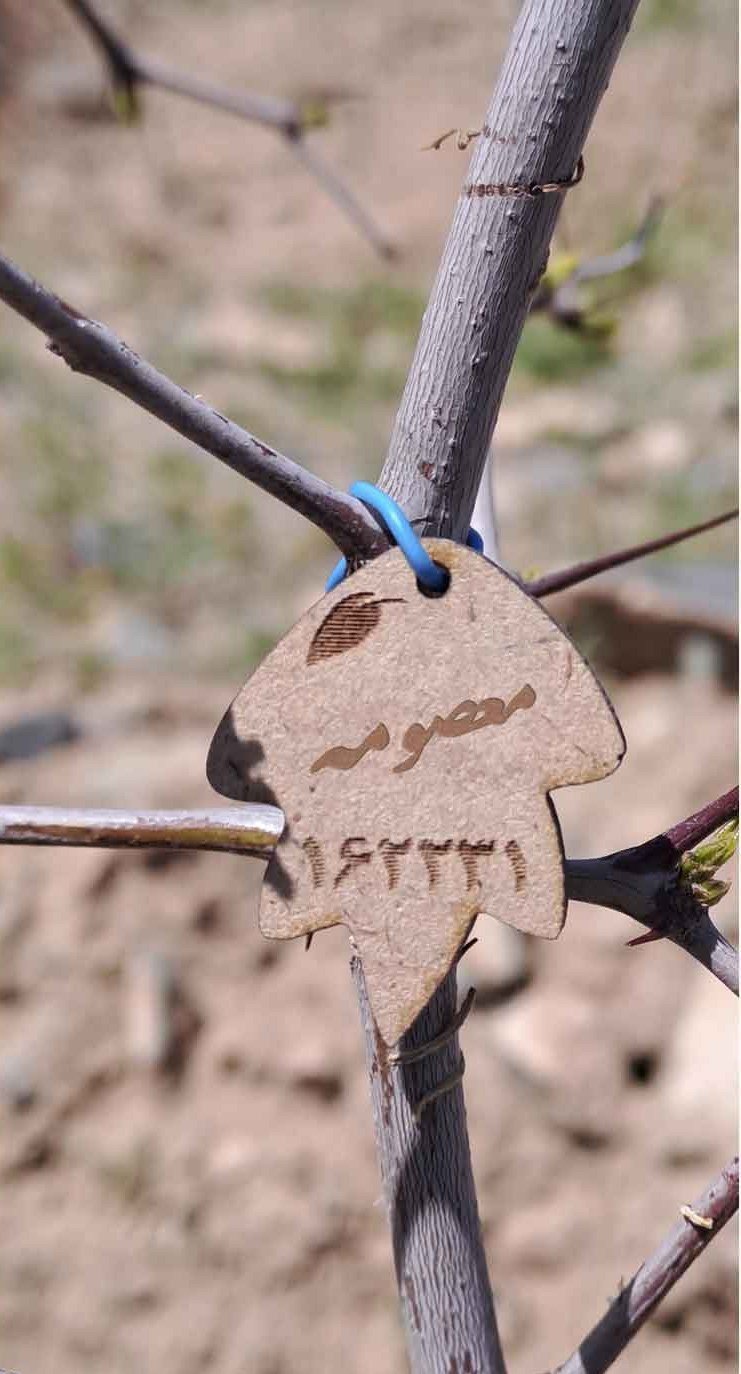 پلاک معصومه